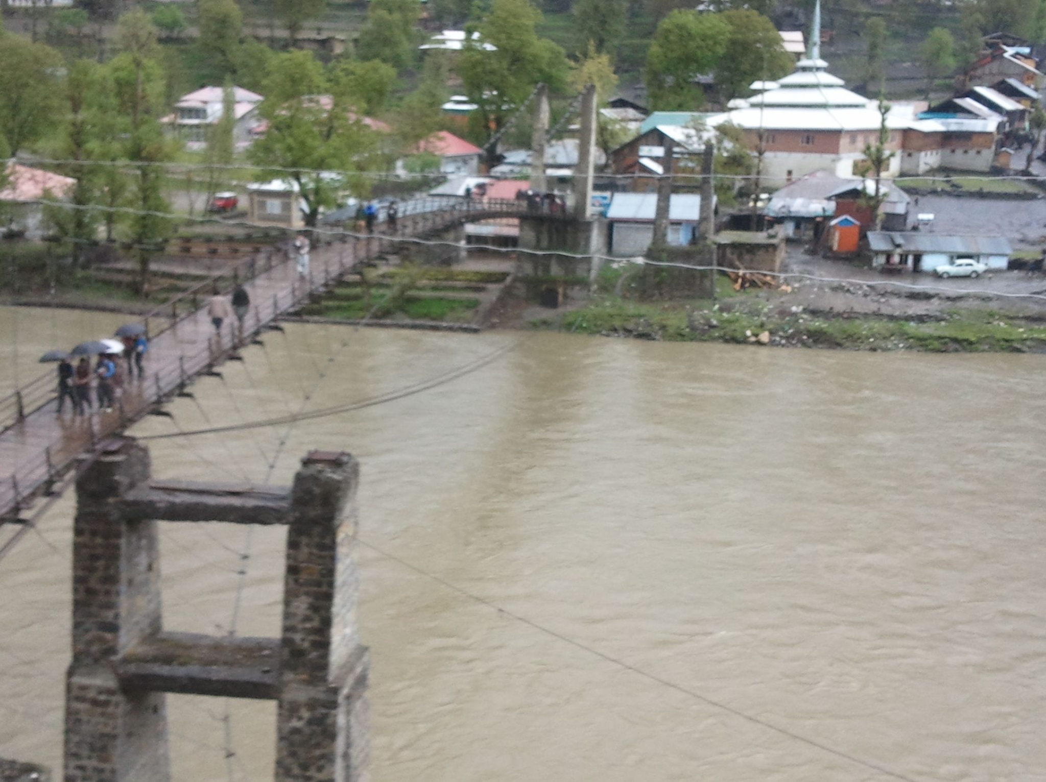 Members are Saving up to 50%